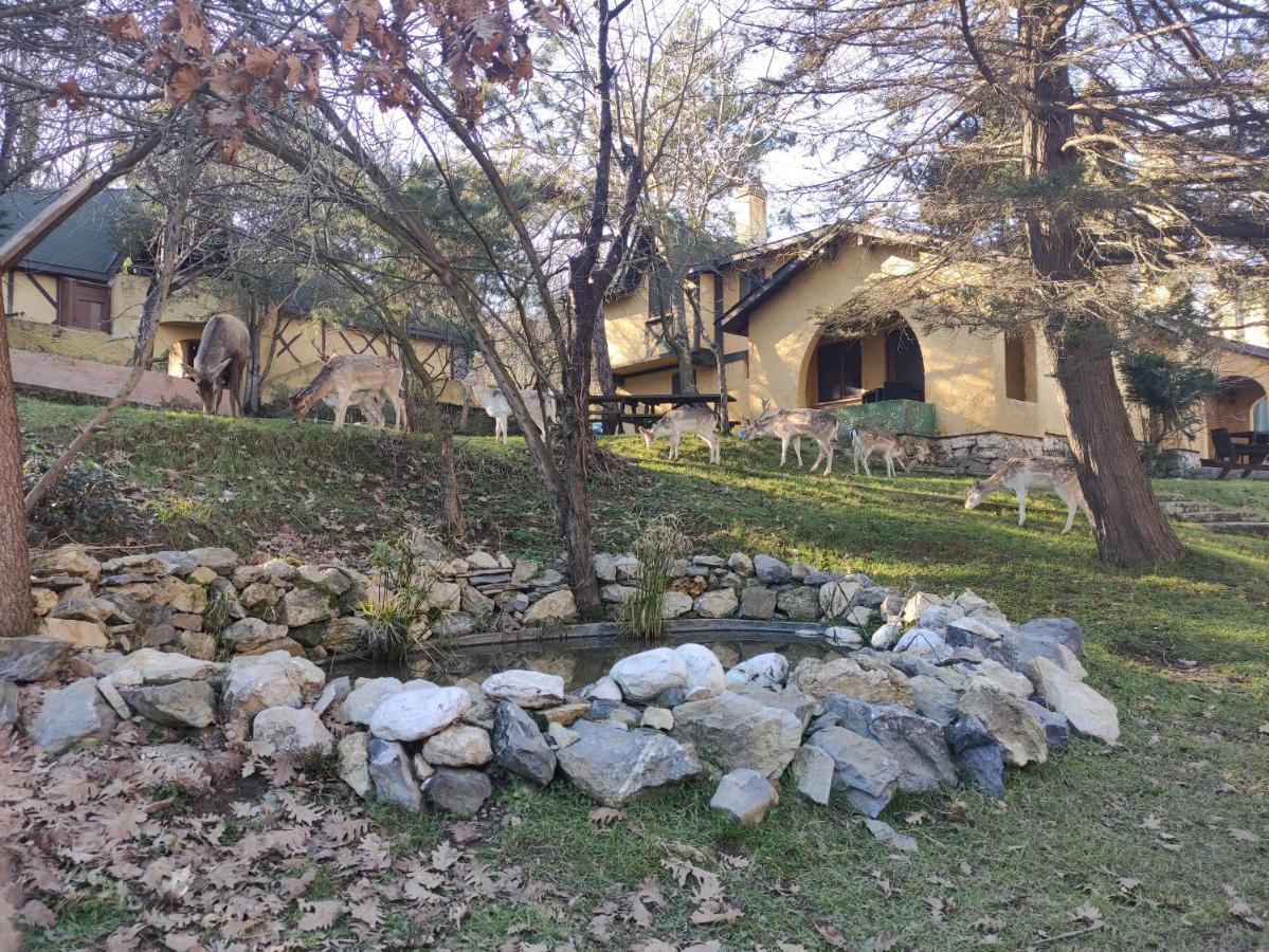 איסטמבול Polonezkoey Country Club & Accommodation In The Wildlife Park! מראה חיצוני תמונה