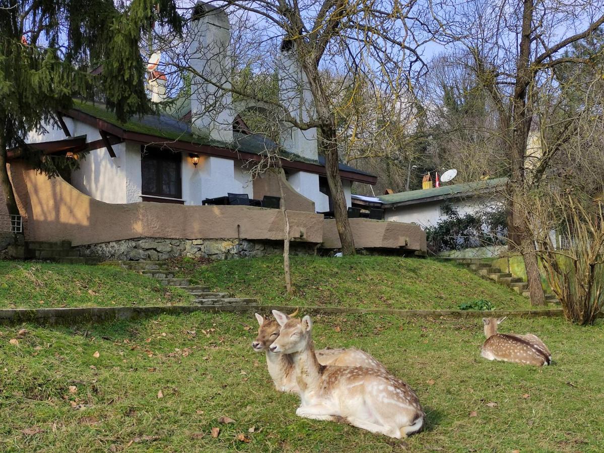 איסטמבול Polonezkoey Country Club & Accommodation In The Wildlife Park! מראה חיצוני תמונה