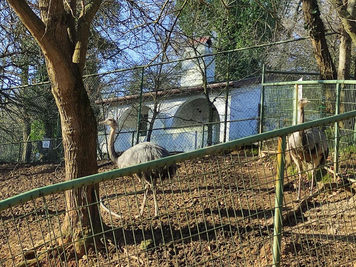 איסטמבול Polonezkoey Country Club & Accommodation In The Wildlife Park! מראה חיצוני תמונה