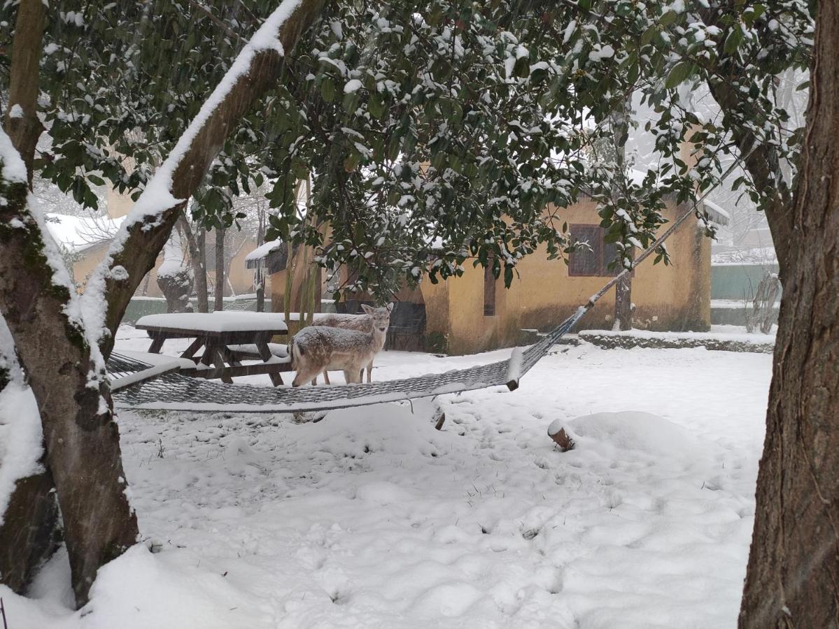 איסטמבול Polonezkoey Country Club & Accommodation In The Wildlife Park! מראה חיצוני תמונה
