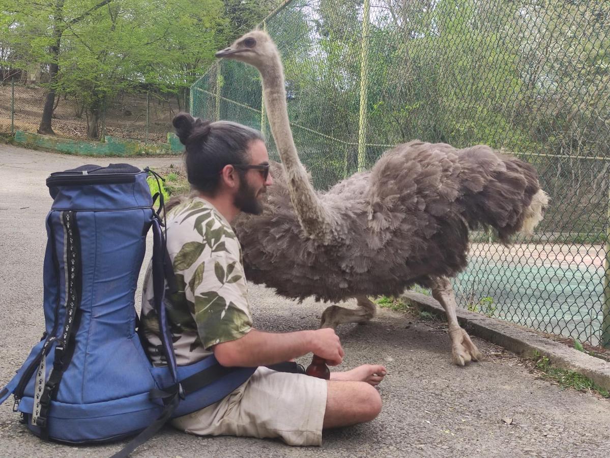 איסטמבול Polonezkoey Country Club & Accommodation In The Wildlife Park! מראה חיצוני תמונה
