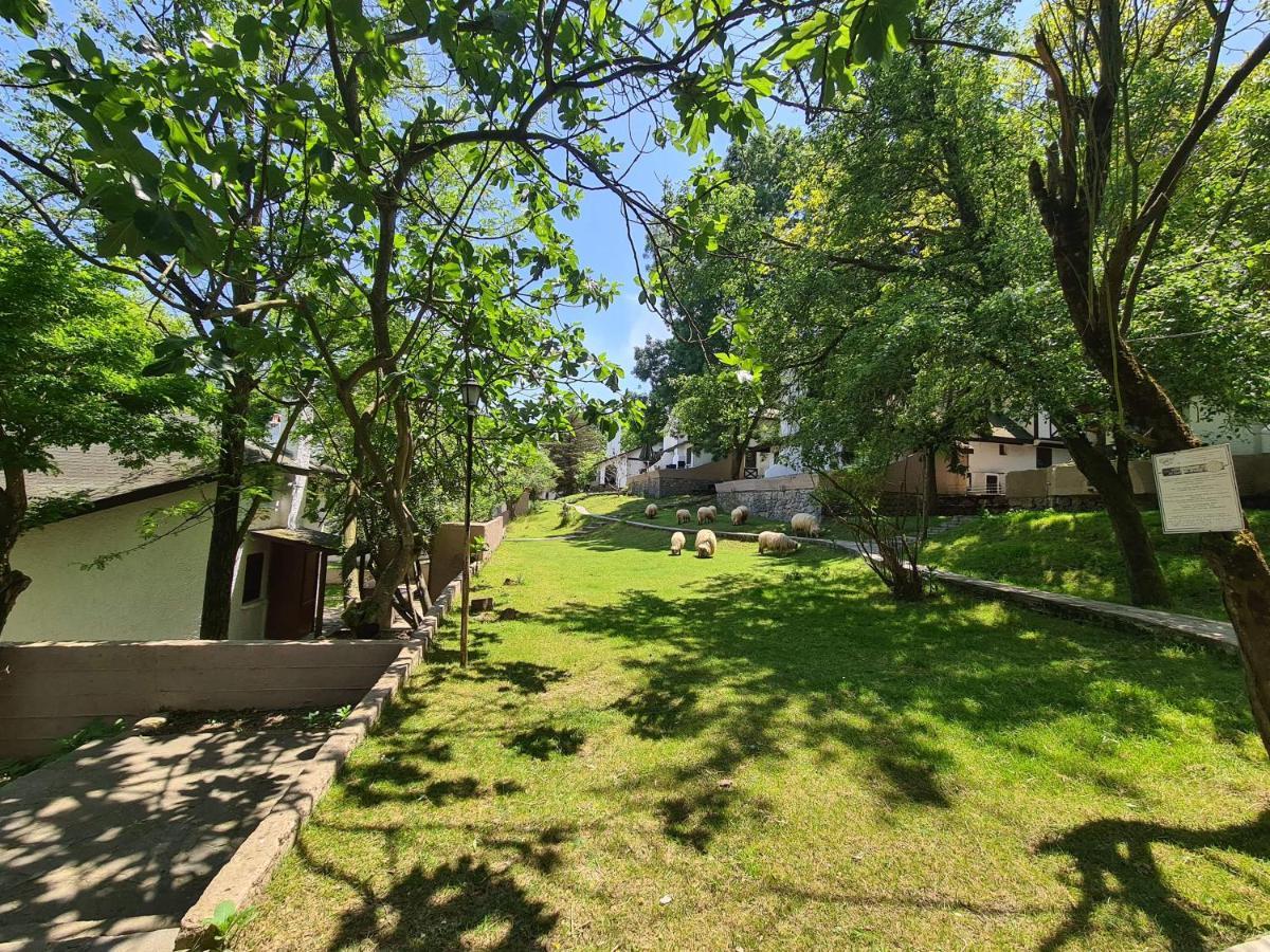 איסטמבול Polonezkoey Country Club & Accommodation In The Wildlife Park! מראה חיצוני תמונה