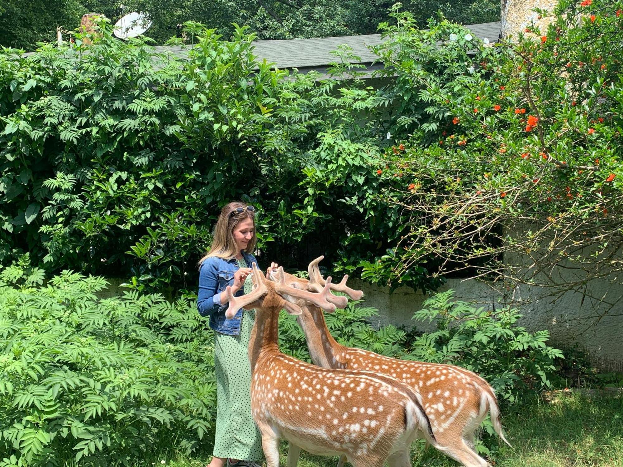 איסטמבול Polonezkoey Country Club & Accommodation In The Wildlife Park! מראה חיצוני תמונה