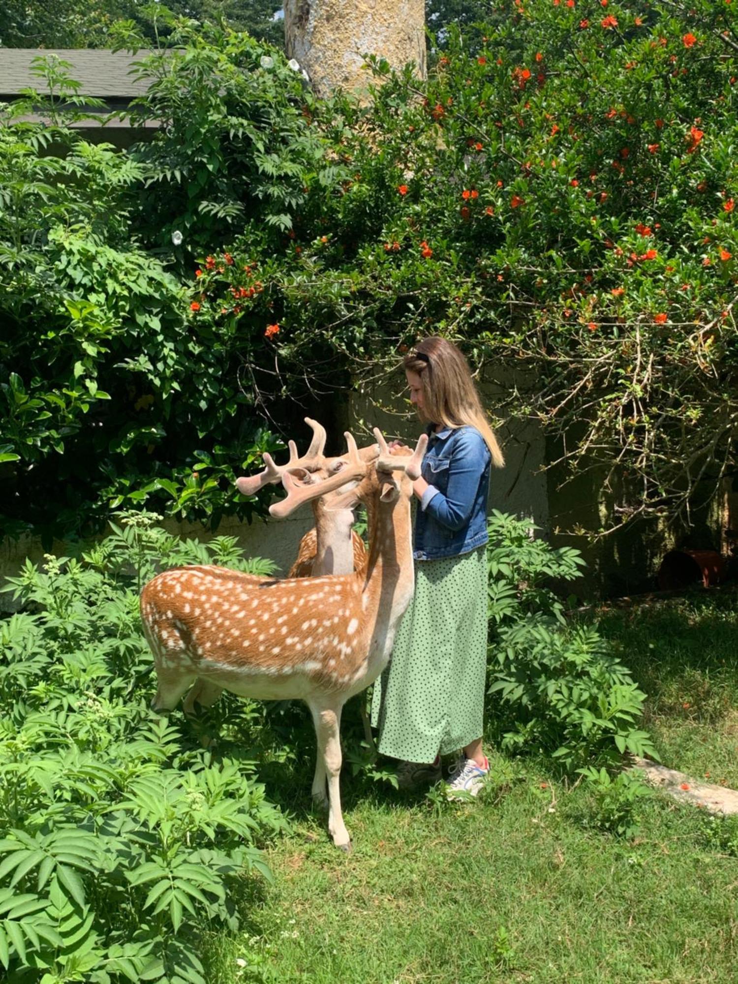 איסטמבול Polonezkoey Country Club & Accommodation In The Wildlife Park! מראה חיצוני תמונה