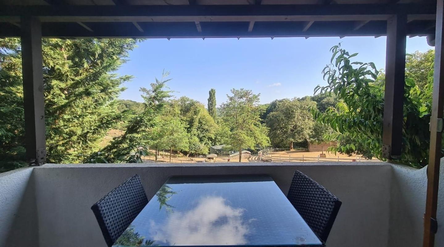 איסטמבול Polonezkoey Country Club & Accommodation In The Wildlife Park! מראה חיצוני תמונה